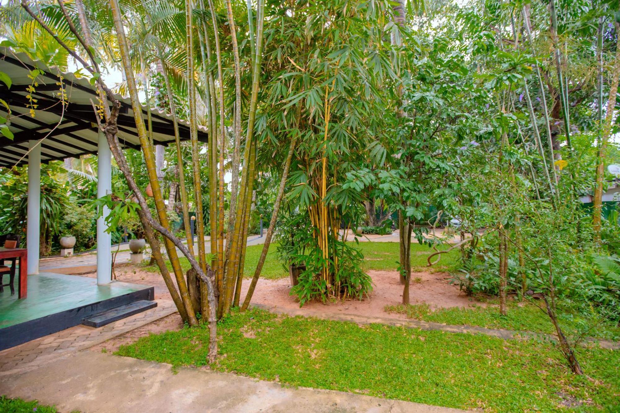 Yala River Face Inn Tissamaharama Extérieur photo